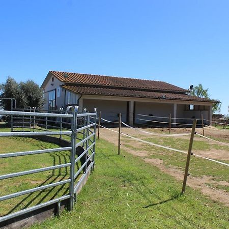 Ferienwohnung Agriturismo Le Cioccaie Castiglione della Pescaia Exterior foto