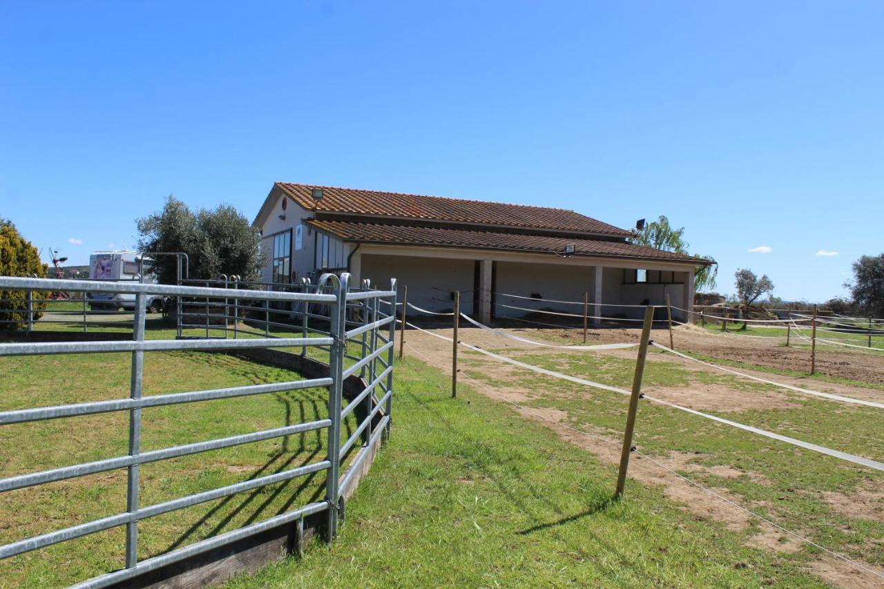 Ferienwohnung Agriturismo Le Cioccaie Castiglione della Pescaia Exterior foto