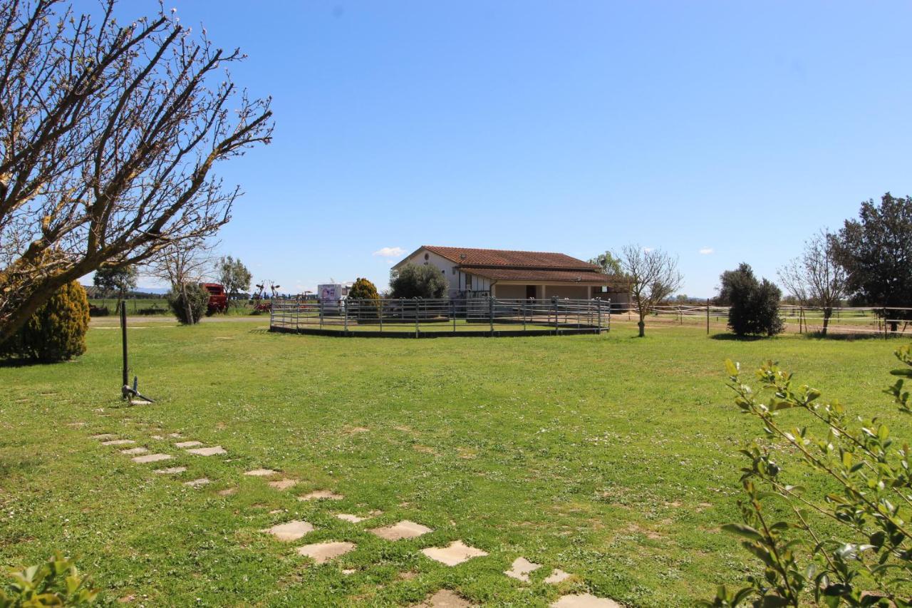 Ferienwohnung Agriturismo Le Cioccaie Castiglione della Pescaia Exterior foto